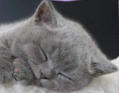 Юля Ткаченко | Grenoble