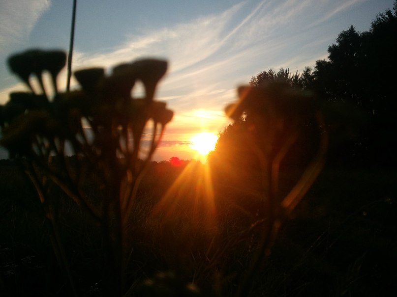 Евгений Васильев | Смоленск
