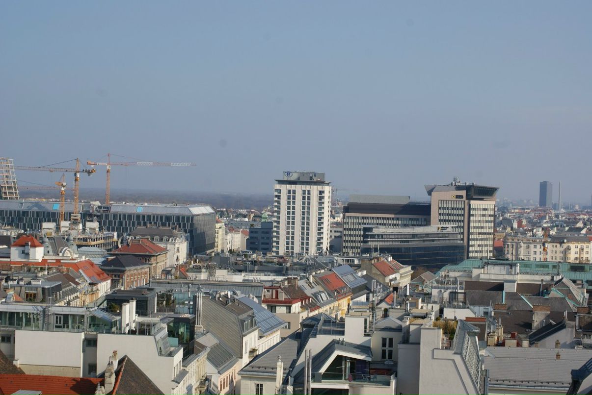 Ванька Рукин | Санкт-Петербург