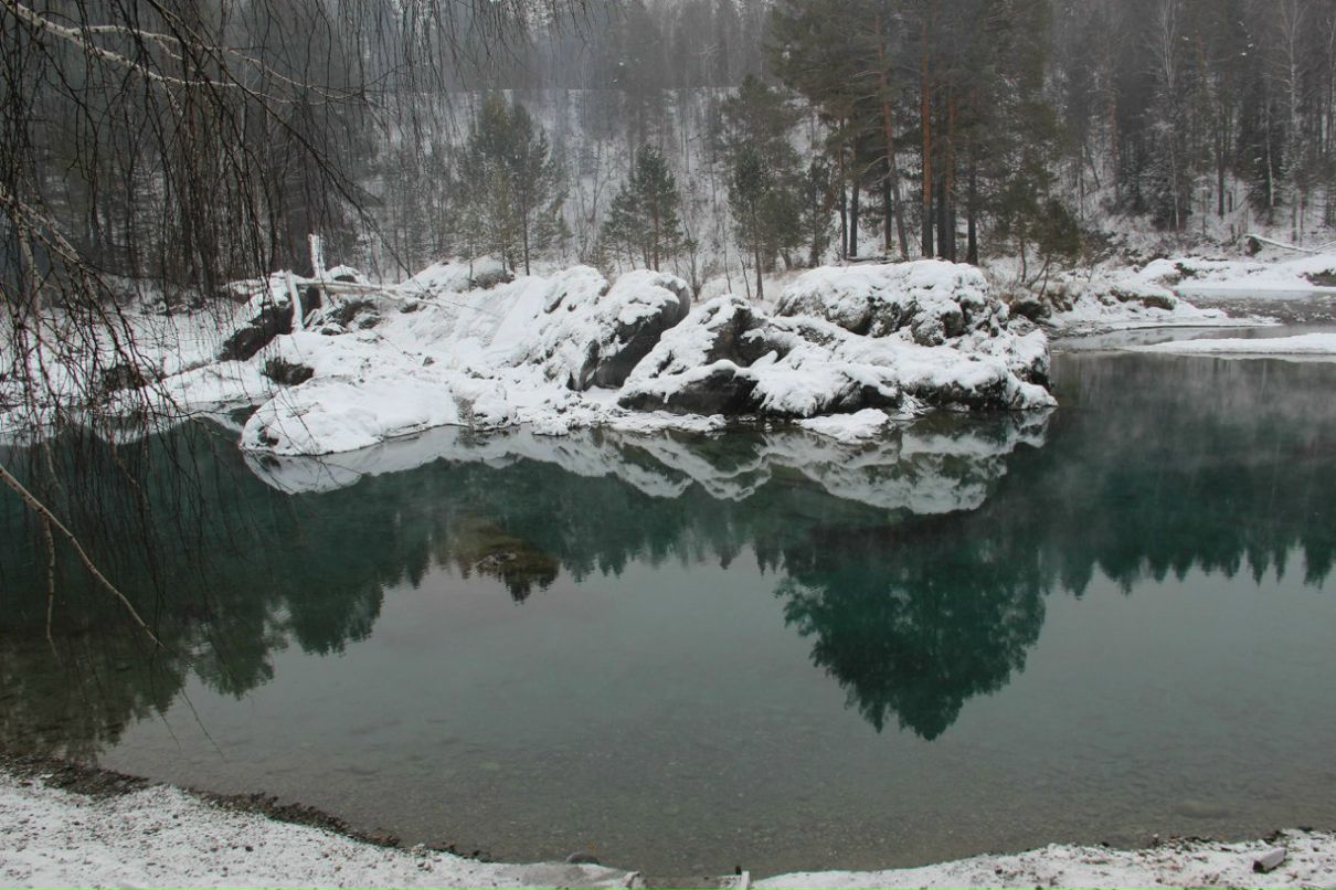 Дмитрий Санегин | Новосибирск