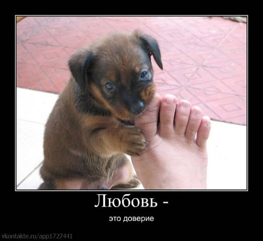 Денис Стехин | Серпухов