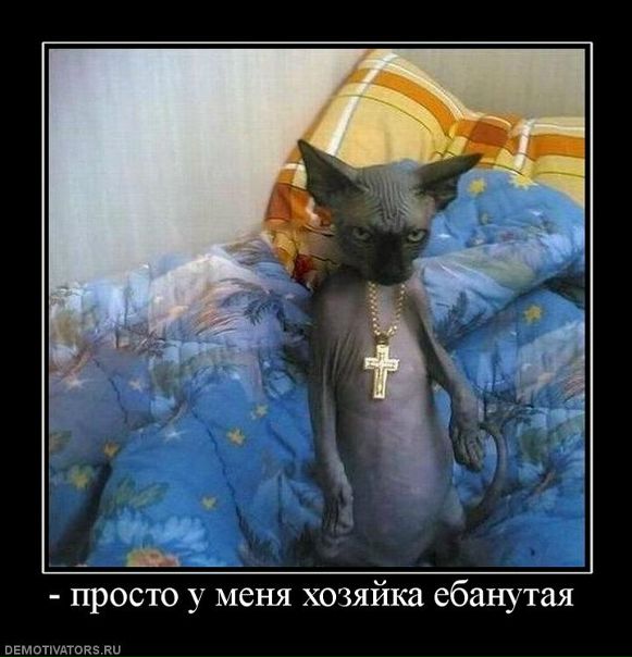 №53, Веталь Никоненко, 38 лет, Житомир №53, Веталь Никоненко, 38 лет, Житомир