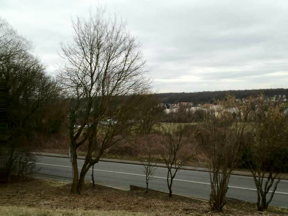 Катюша Рукавишникова (Esmariel) | Москва