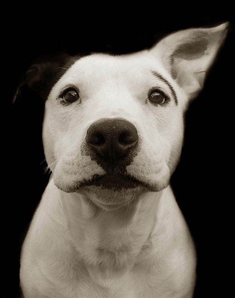 Denis Vdovenko | Москва