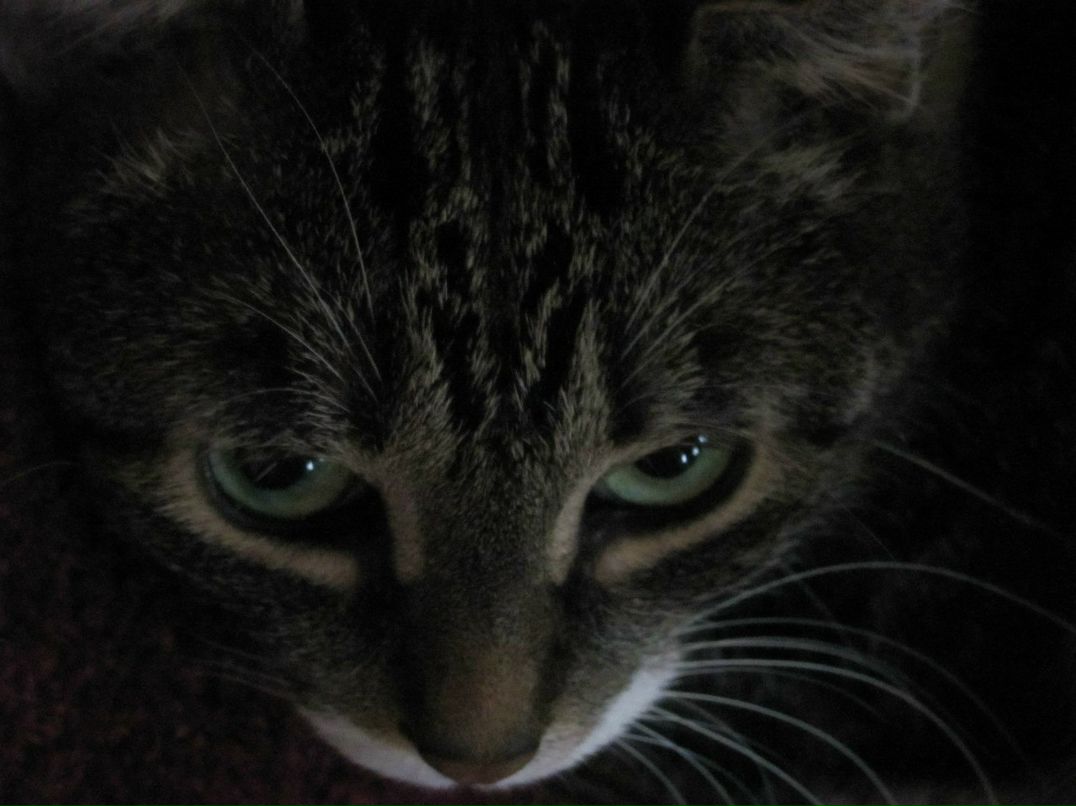 Татьяна Александрова | Великий Новгород