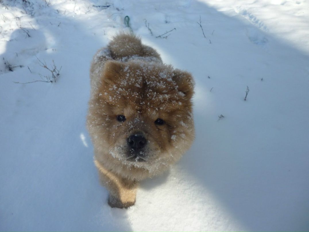 Асем Талыспаева | Алматы