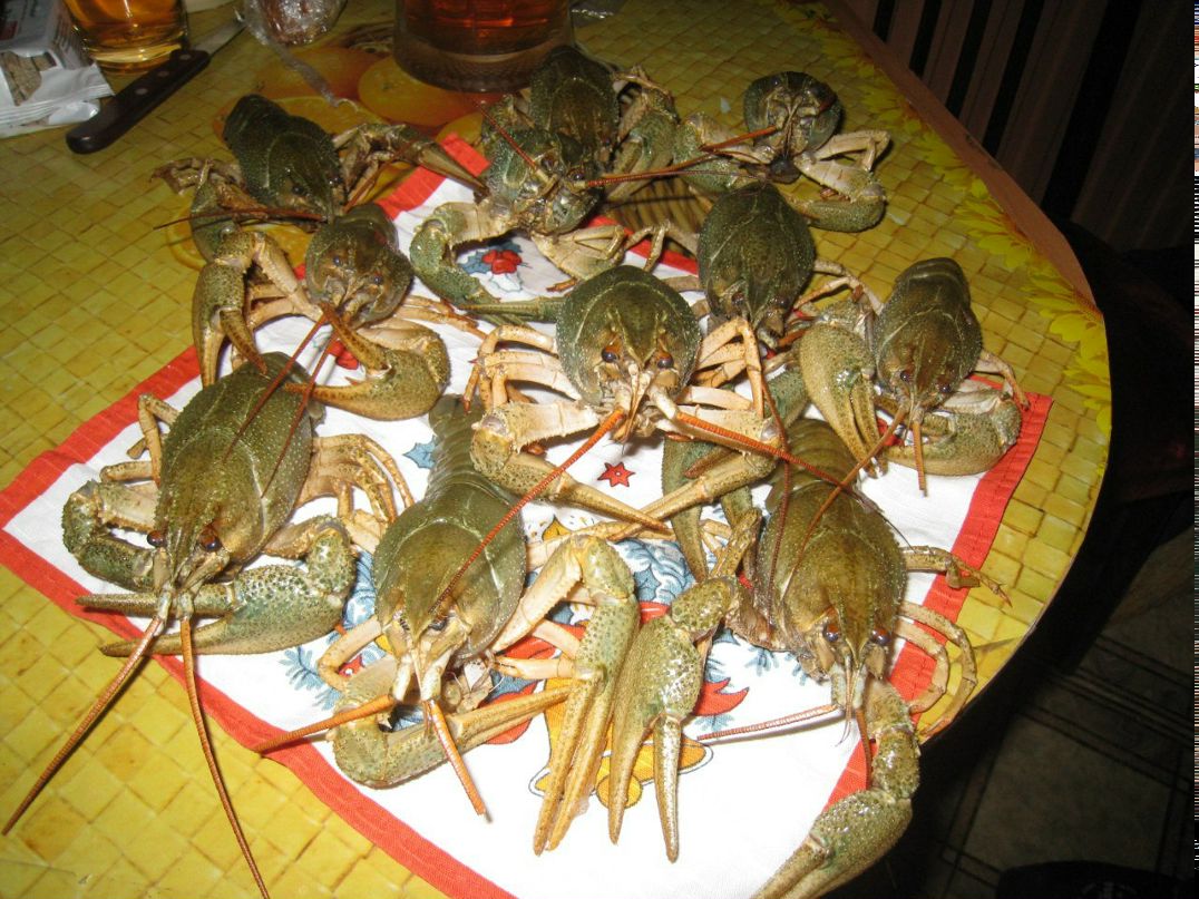 Сергей Валик | Санкт-Петербург