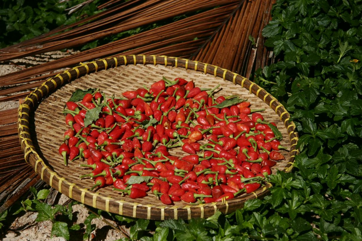 Петр Никищихин | Москва