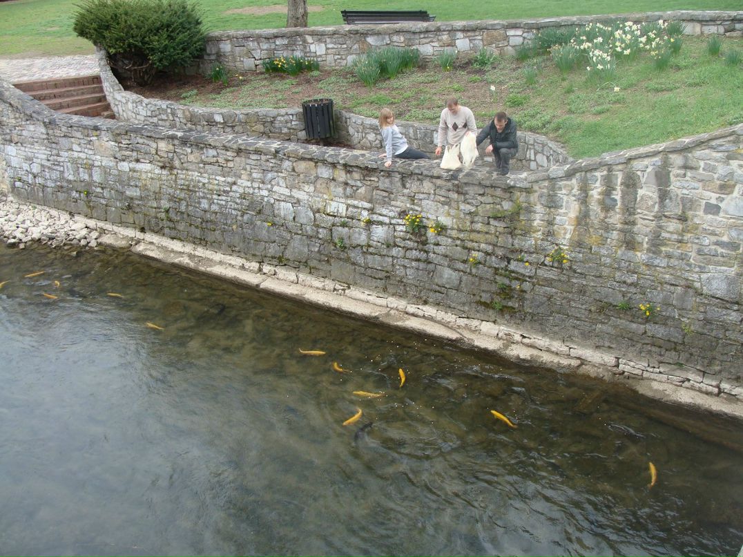 Mikhail Solovev | Москва