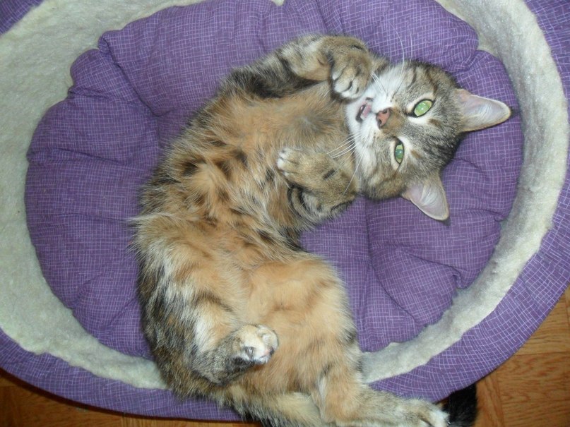 Татьяна Леонова | Селидово