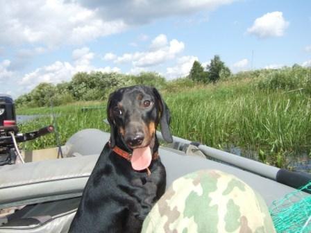 Наталья Малярова | Санкт-Петербург