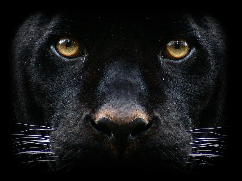 Настуся Кудименко | Киев