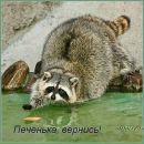 №38 Татьяна Ольховикова 18.06.1988: профиль, фото, статус - ВКонтакте №38 Татьяна Ольховикова 18.06.1988: профиль, фото, статус - ВКонтакте