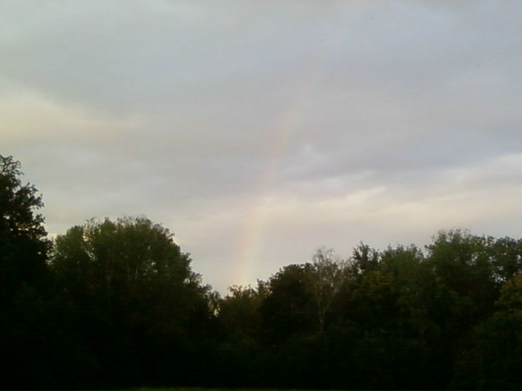 Андрей Тарасов | Ясная Поляна