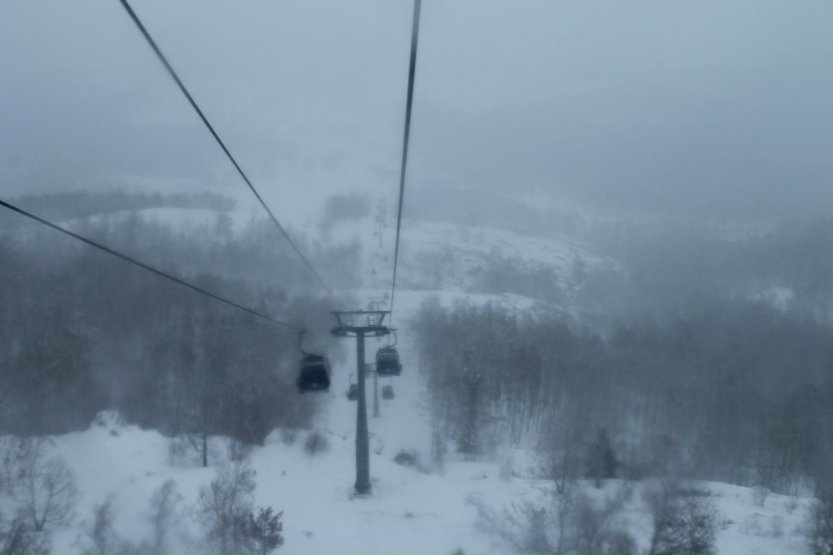 Артем Сутягин | Самара