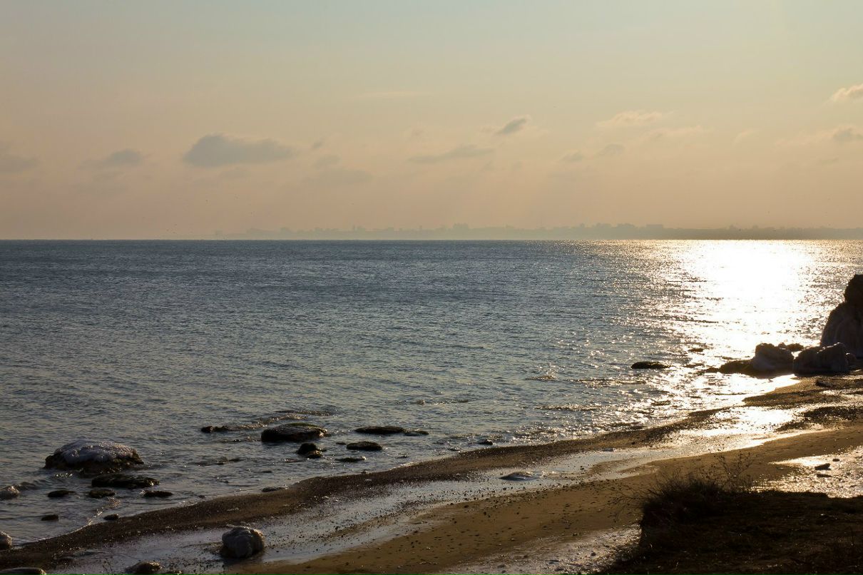 Дмитрий Кропивка Ο Δημητρος | Одесса