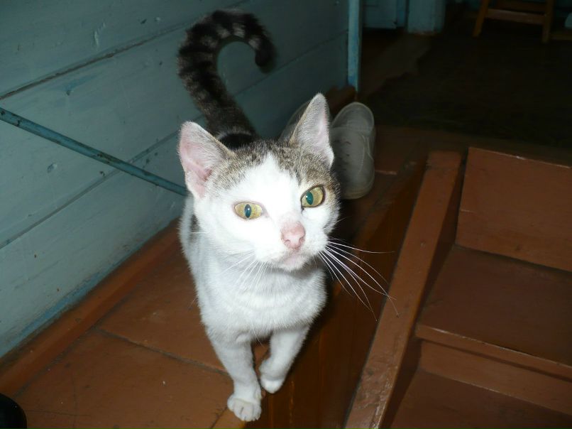 Наталья Шалухина | Москва