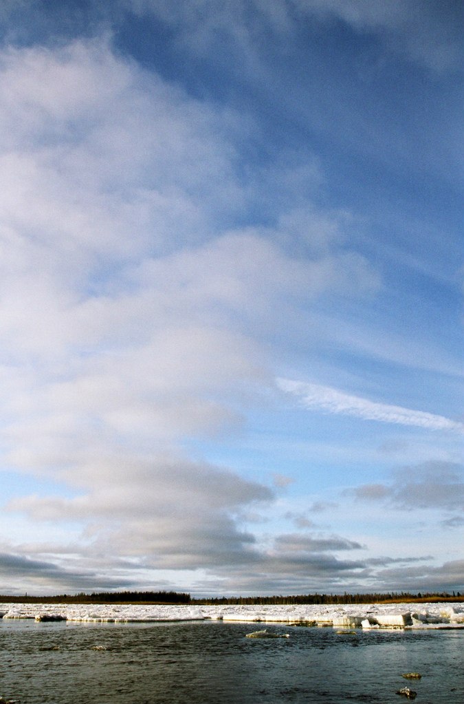 Дмитрий Сенецкий | Екатеринбург