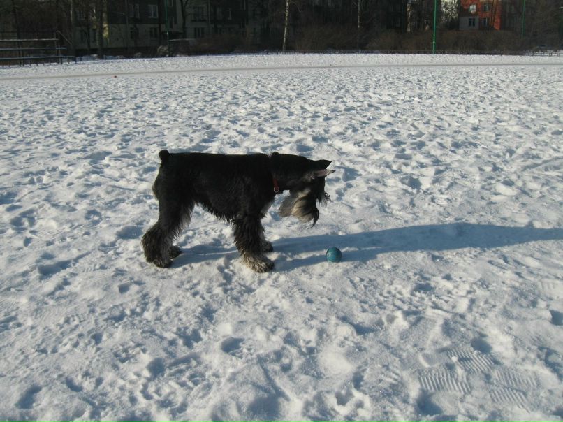 Галина Киселёва | Санкт-Петербург