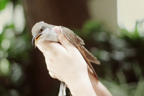 Катя Мелентьева | Одесса