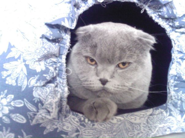 №193, Юлия Фролова, Воронеж №193, Юлия Фролова, Воронеж