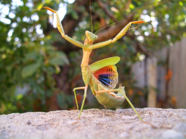 №22, Нина Загретдинова, 04.01.1971 №22, Нина Загретдинова, 04.01.1971