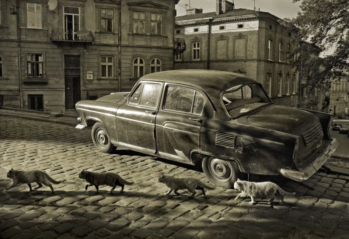 Владимир Ковнер | Новосибирск