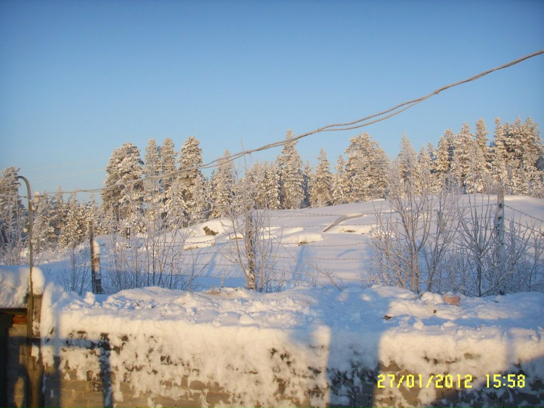 Александр Михайлов | Зеленоборский