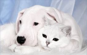 Алеся Сергеева ♥♥♥ | Киев