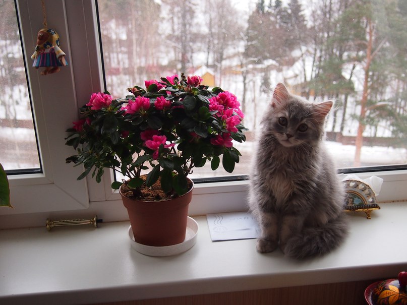 Маша Великородняя ツツ | Санкт-Петербург