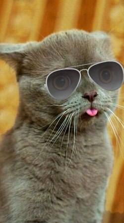 Александр Македонский •°o.O    |̳̿В̳̿|ахуе   O.o°• | Донецк