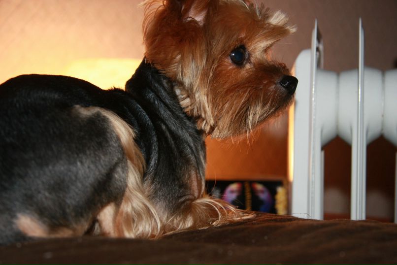 Олечка Титова princessa | Москва