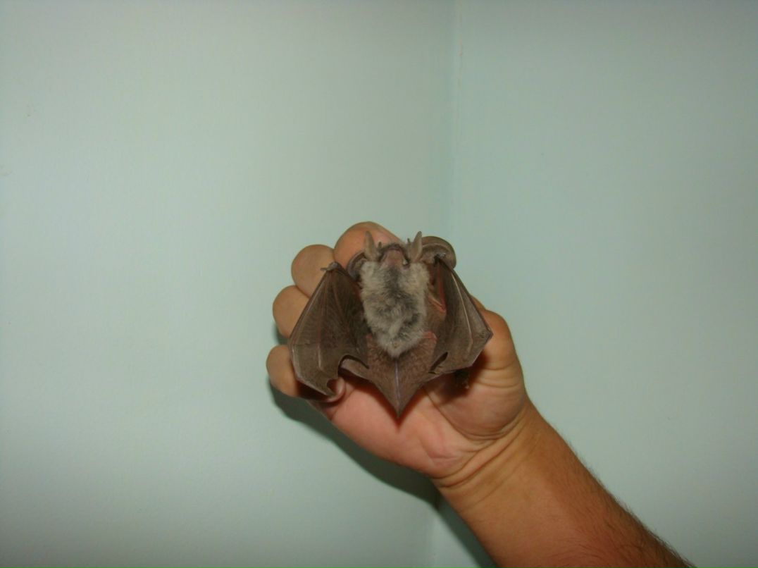 Иван Воробьев | Санкт-Петербург