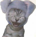 Сергей Минаков | Харьков