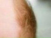 Ксения Торгач | Сумы