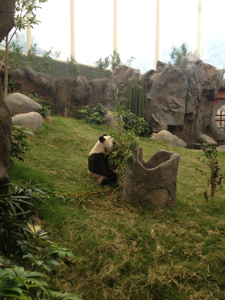 Надя Чешкова | Milano