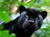 №31 Ксения Калина 18.09.1990: профиль, фото, статус - ВКонтакте