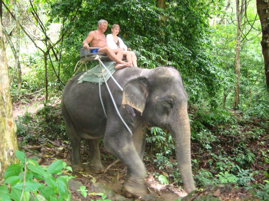 Сергей Головатов | Воротынск