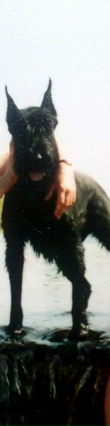 №111, Оля Гольцева, Санкт-Петербург, Россия | ВКонтакте №111, Оля Гольцева, Санкт-Петербург, Россия | ВКонтакте