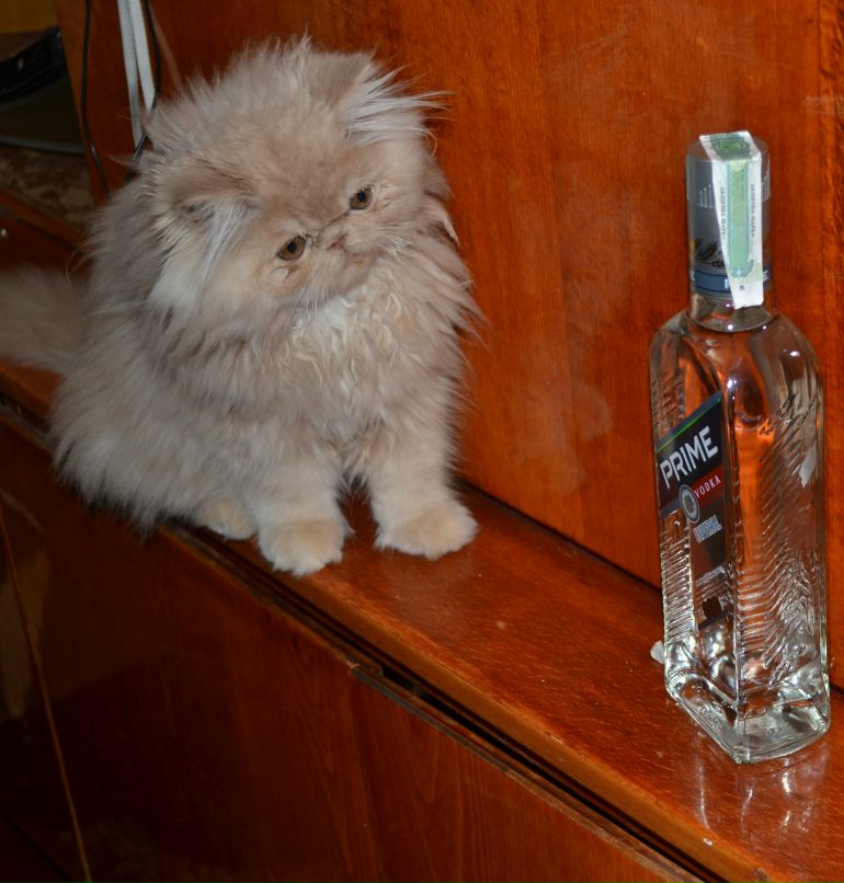 Слава Насонов | Николаев