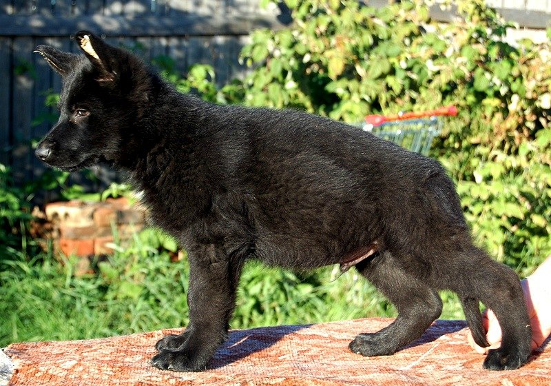 Анастасия Савина | Алматы