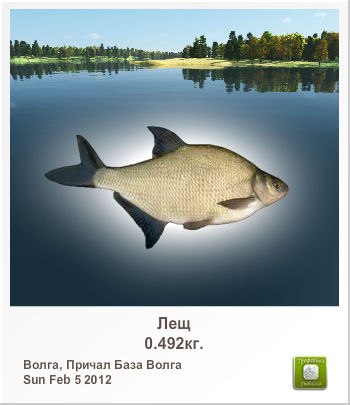 Діма Шевчук | Кременец