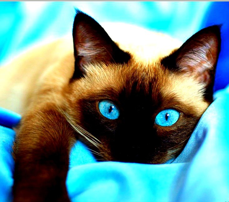 Серёжа Мокунев Eternal Optimist | Москва