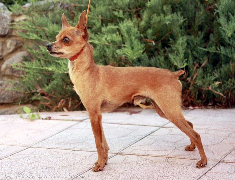 Ирчелл Ткачёва SCHöN | Симферополь