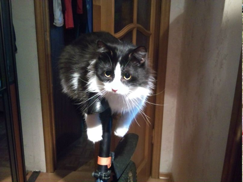 Стэллочка Станкониец | Санкт-Петербург