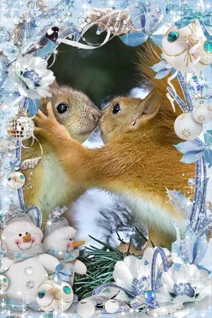 Евгения Максимова | Тамбов