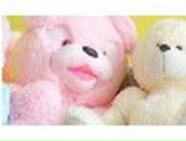 Арина Сычникова •°Gold √ιק•° | Москва