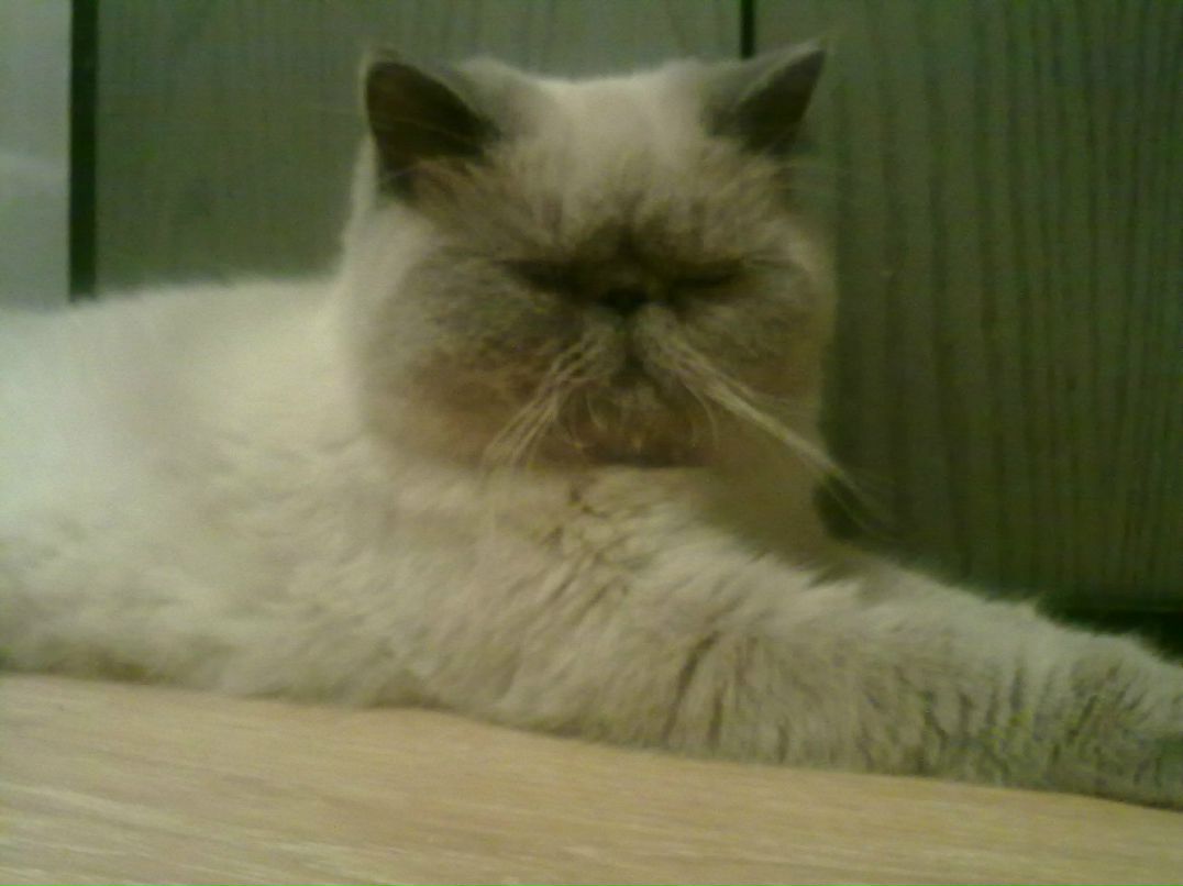 Елизавета Луговкина Моря4ка | Зеленоград