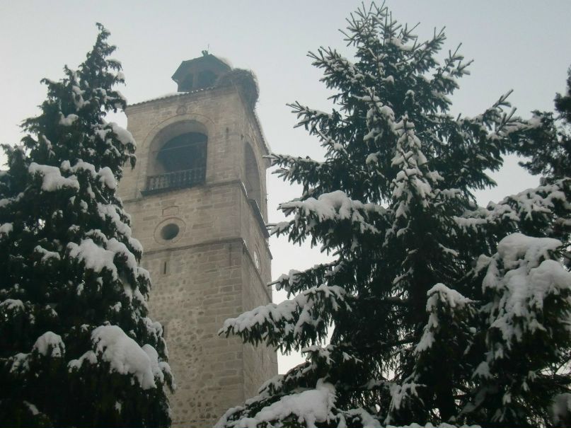 Анна Беганская | Киев