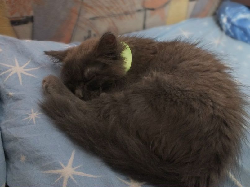 Елена Макарова | Пермь